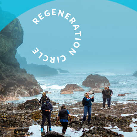 A group of community scientists explores tidepools along the Northern California coast