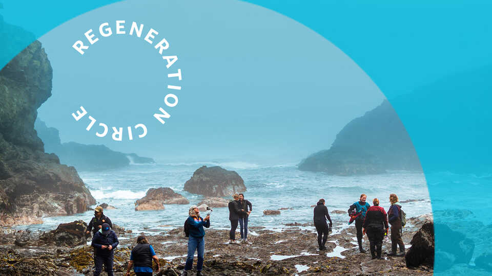 A group of community scientists explores tidepools along the Northern California coast