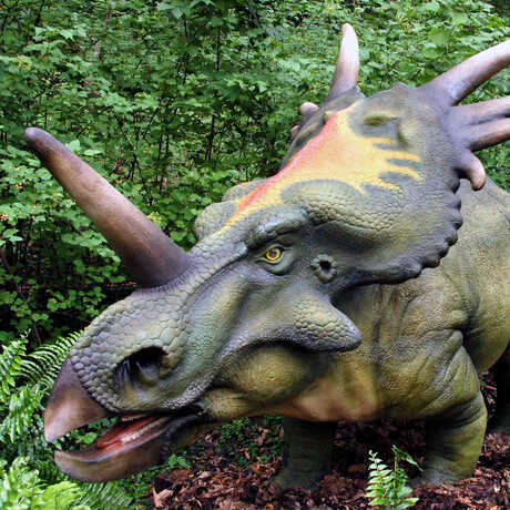 Animatronic life-size model of Styracosaurus by Billings Productions