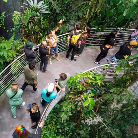 Visitors exploring the Academy