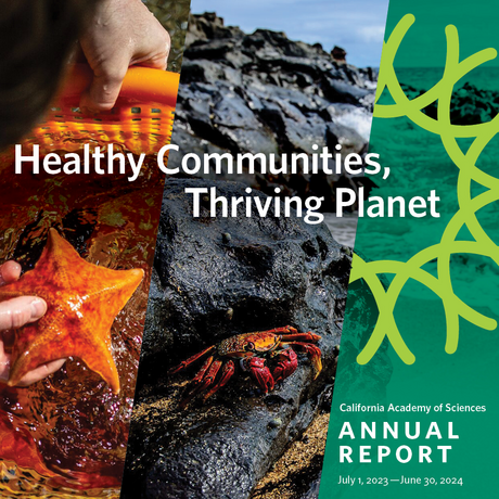 Cover of Cal Academy's FY24 annual report titled Healthy Communities, Thriving Planet, and featuring photos of California tidepool animals
