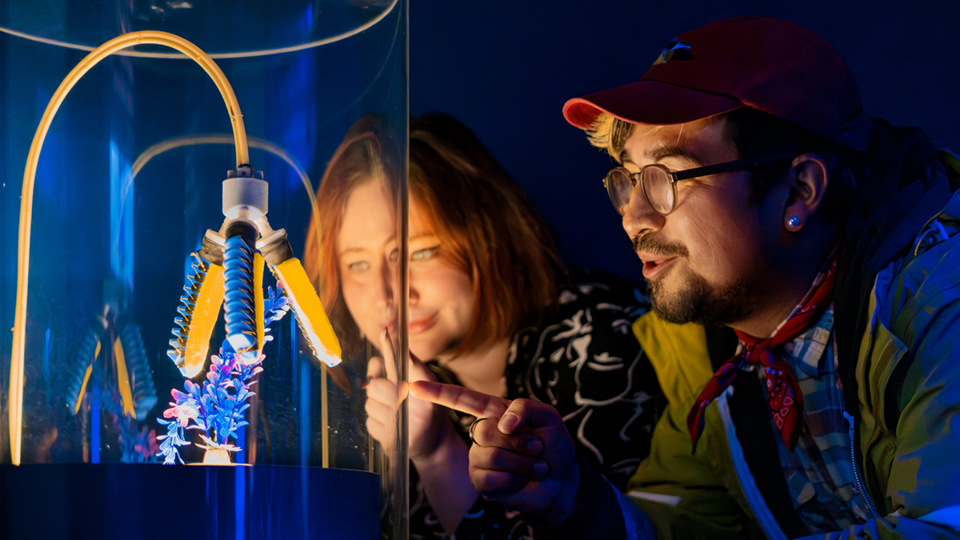 Two young museum goers pointing and looking at specimen