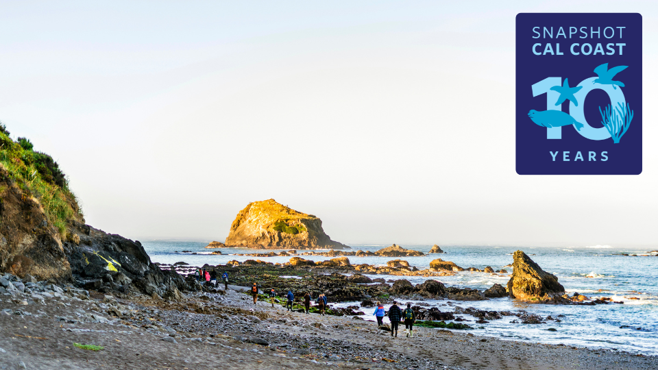 Snapshot Cal Coast 10 years group walking along beach with rocks and bluffs